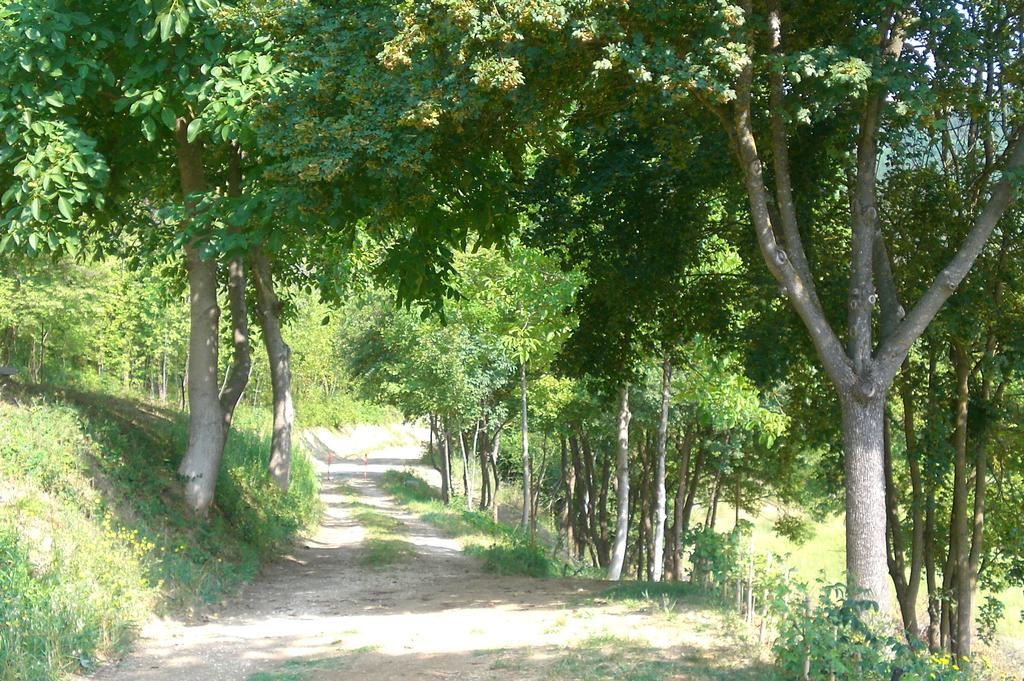 Brisighella Green Wellness Exteriör bild